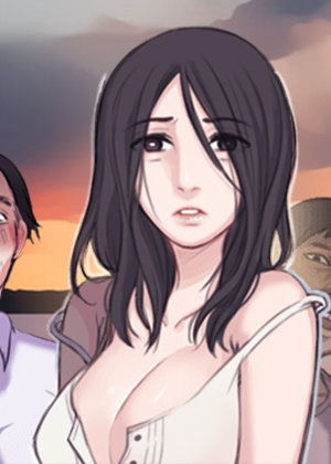 钢之炼金术师 封面